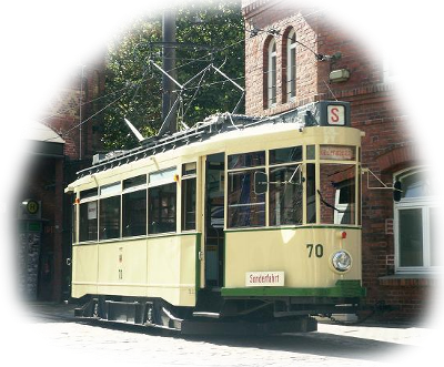 Bild: Der kleine Hecht